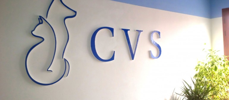 Centro Veterinario Sulcitano